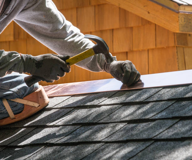 Roof Gutter Cleaning in Pilot Point, TX